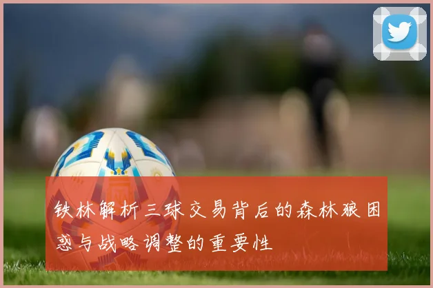 铁林解析三球交易背后的森林狼困惑与战略调整的重要性