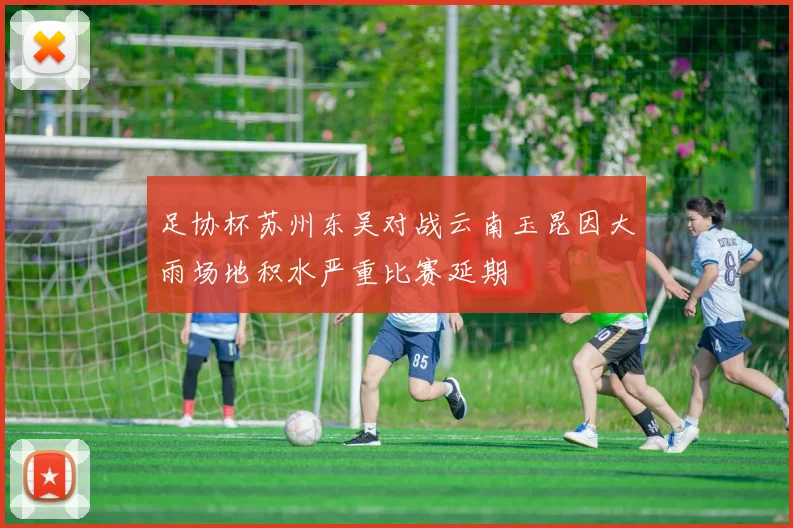 足协杯苏州东吴对战云南玉昆因大雨场地积水严重比赛延期